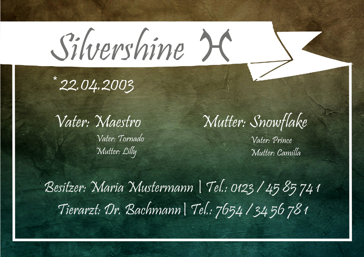 Individuelles Boxenschild – Design 5