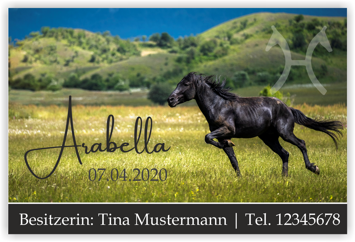 Individuelles Boxenschild mit Foto – Design 8