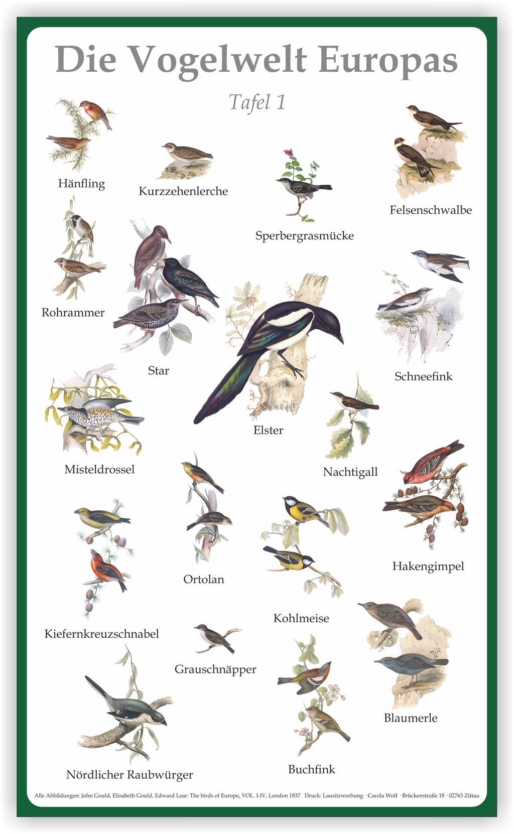 Tafel "Vogelwelt Europas" | Aluverbund | 50 cm x 30 cm