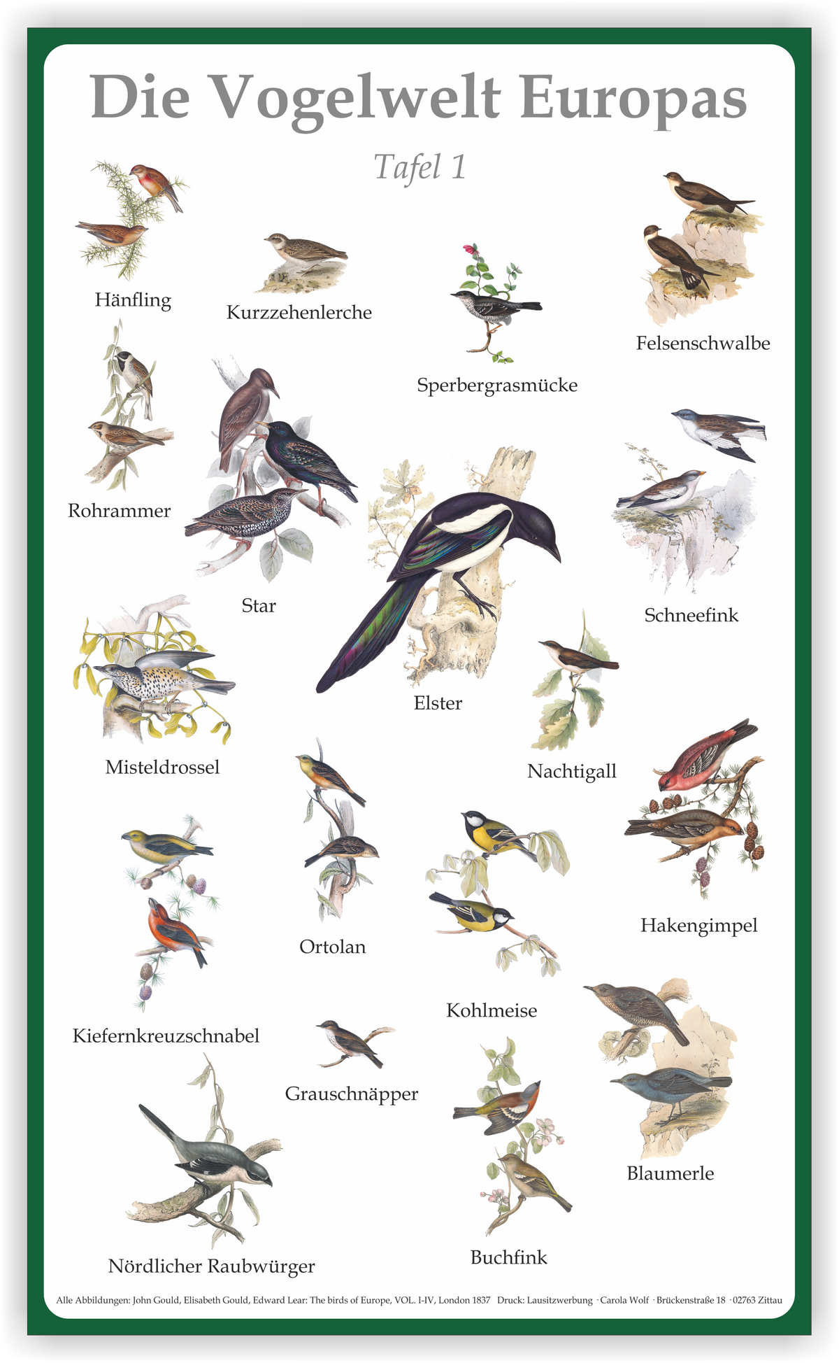 Tafel "Vogelwelt Europas" | Aluverbund | 50 cm x 30 cm