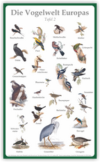 Tafel "Vogelwelt Europas" | Aluverbund | 50 cm x 30 cm – Ansicht Tafel2