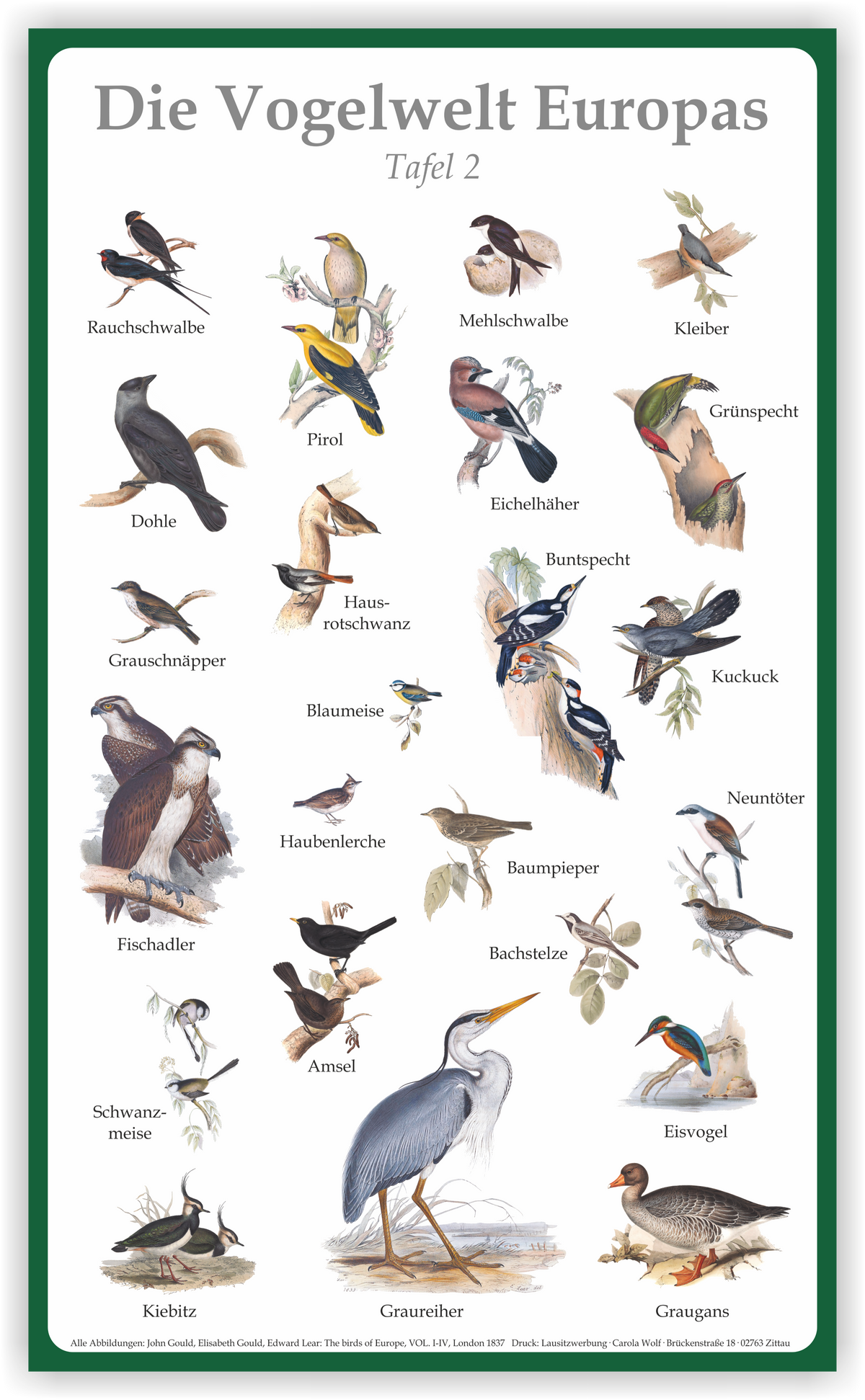 Tafel "Vogelwelt Europas" | Aluverbund | 50 cm x 30 cm – Ansicht Tafel2