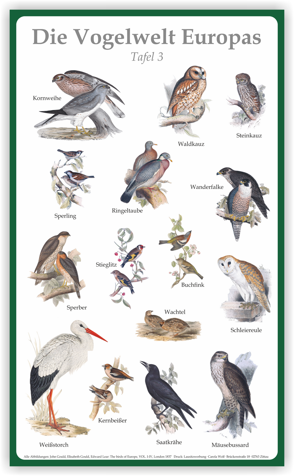 Tafel "Vogelwelt Europas" | Aluverbund | 50 cm x 30 cm – Ansicht Tafel3