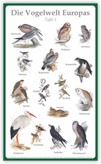 Tafel "Vogelwelt Europas" | Aluverbund | 50 cm x 30 cm – Ansicht Tafel3