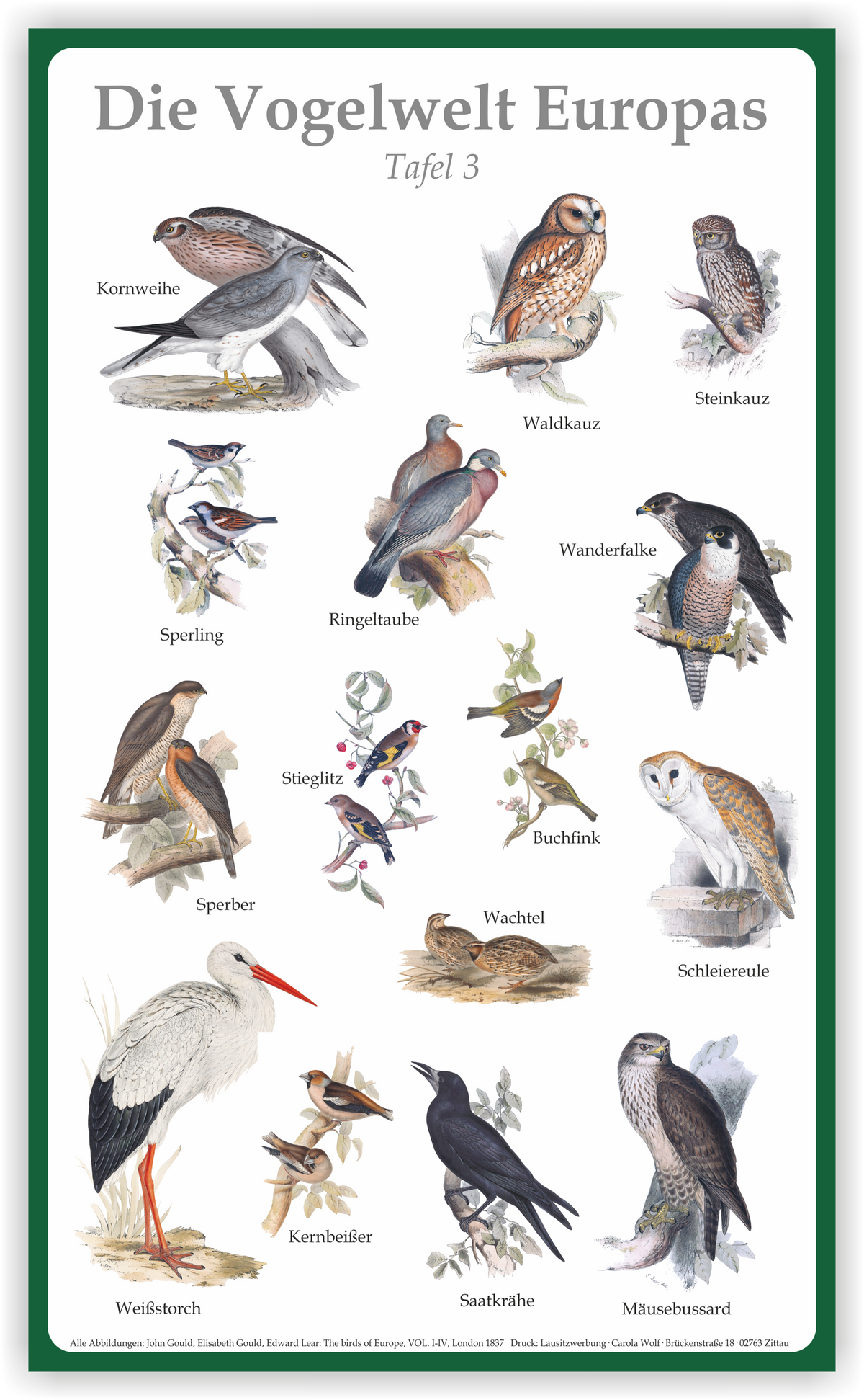 Tafel "Vogelwelt Europas" | Aluverbund | 50 cm x 30 cm – Ansicht Tafel3