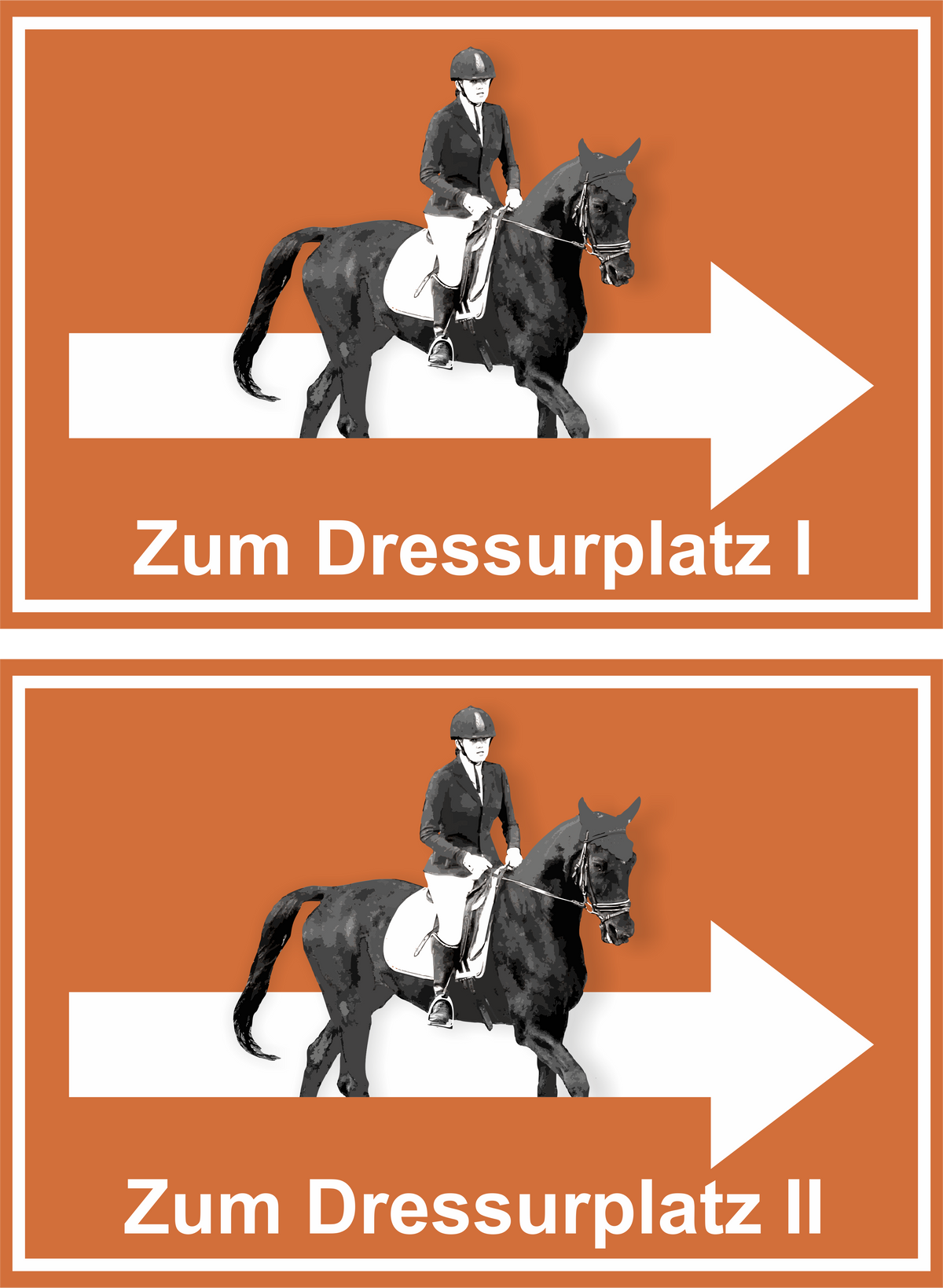 Wegweiser Dressurplatz I und II | 2-er Set | Verschiedene Farben und Richtungen – Ansicht Dressurplatz Set orange rechts