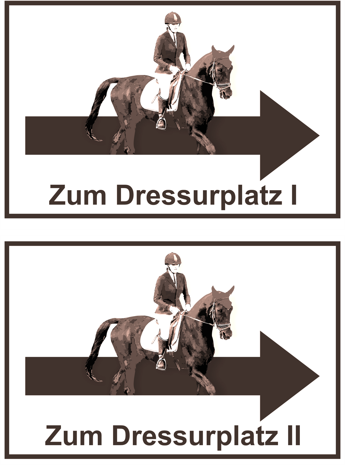 Wegweiser Dressurplatz I und II | 2-er Set | Verschiedene Farben und Richtungen – Ansicht Dressurplatz Set schwarz rechts