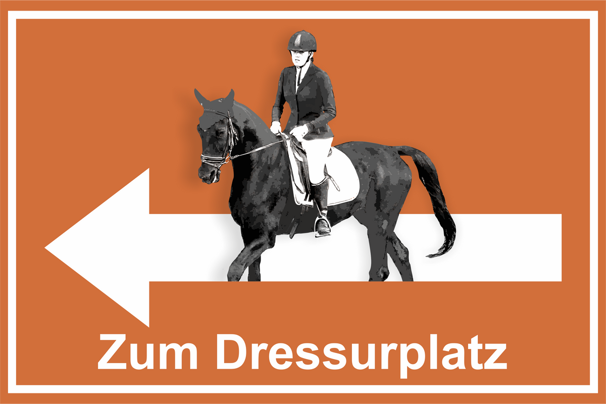 Wegweiser Dressurplatz | Verschiedene Farben und Richtungen – Ansicht Dressurplatz orange links