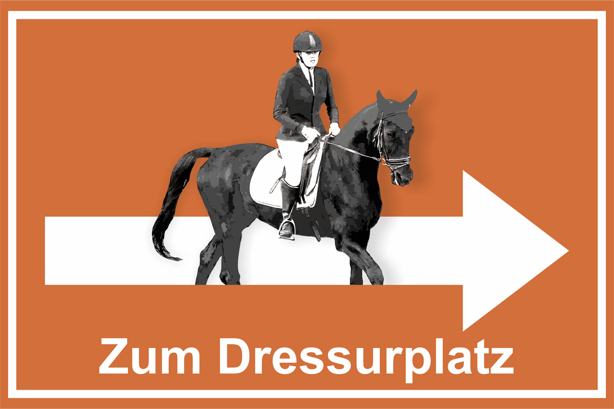 Wegweiser Dressurplatz | Verschiedene Farben und Richtungen – Ansicht Dressurplatz orange rechts
