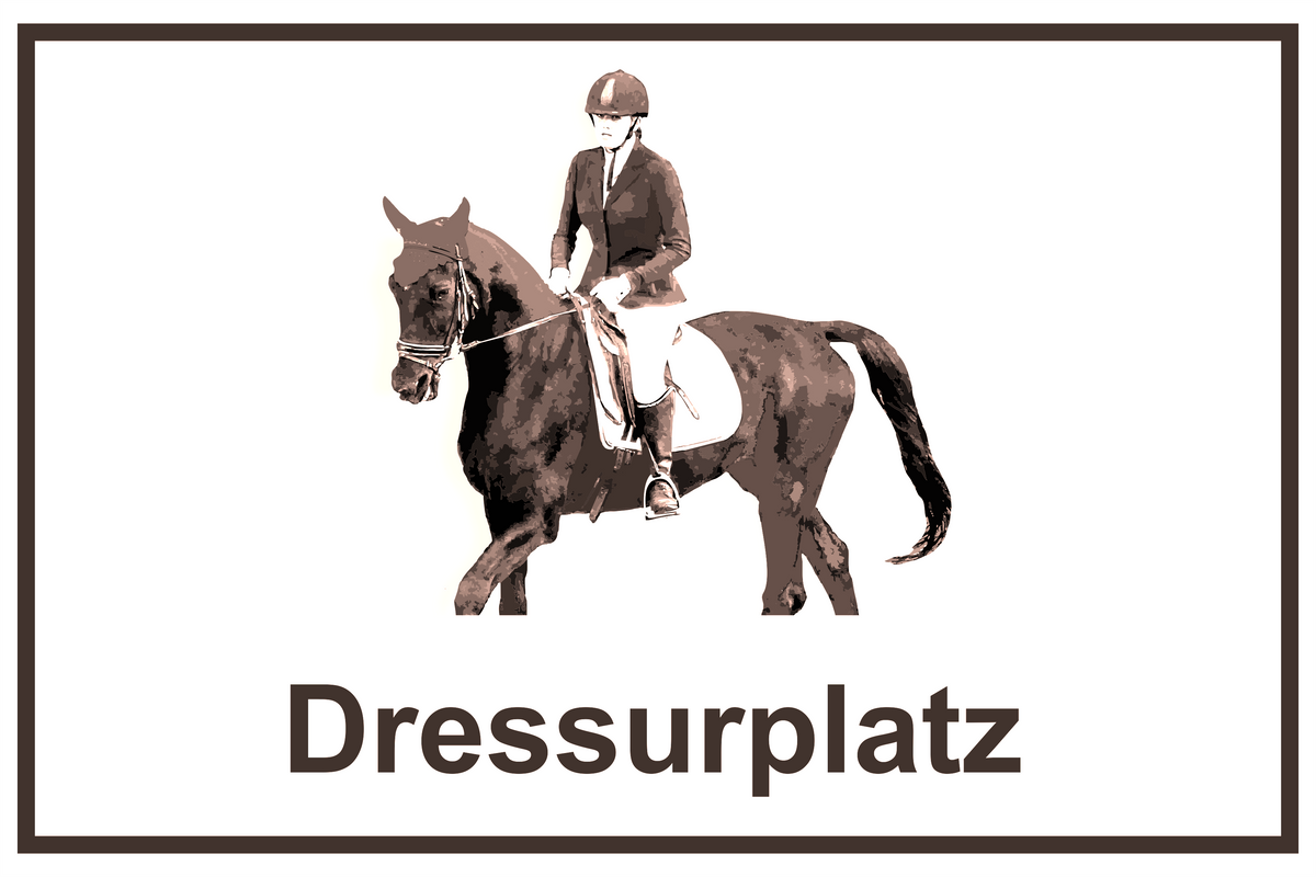 Wegweiser Dressurplatz | Verschiedene Farben und Richtungen – Ansicht Dressurplatz schwarz Ziel