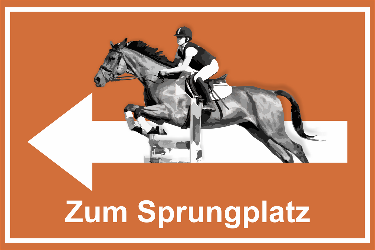 Wegweiser Sprungplatz | verschiedene Farben und Richtungen – Ansicht Sprungplatz orange links