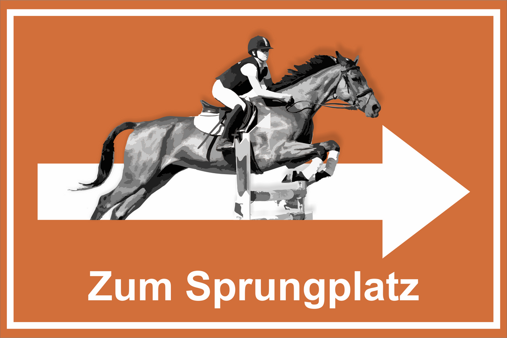 Wegweiser Sprungplatz | verschiedene Farben und Richtungen – Ansicht Sprungplatz orange rechts