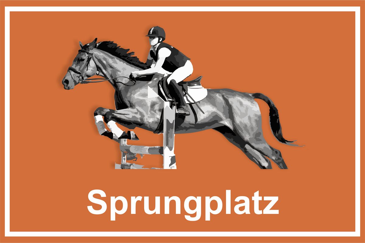 Wegweiser Sprungplatz | verschiedene Farben und Richtungen – Ansicht Sprungplatz orange