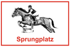 Wegweiser Sprungplatz | verschiedene Farben und Richtungen – Ansicht Sprungplatz rot