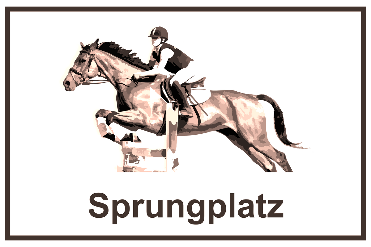 Wegweiser Sprungplatz | verschiedene Farben und Richtungen – Ansicht Sprungplatz schwarz
