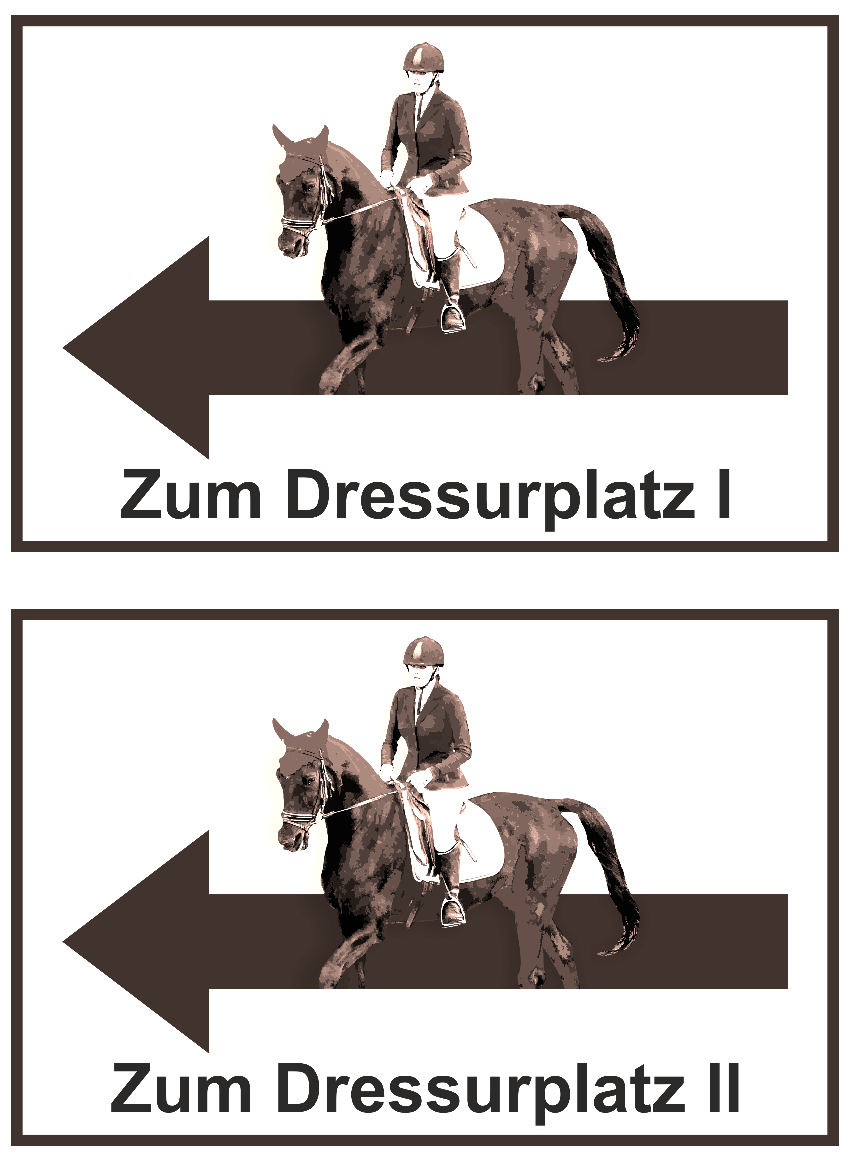 Wegweiser Dressurplatz I und II | 2-er Set | Verschiedene Farben und Richtungen  