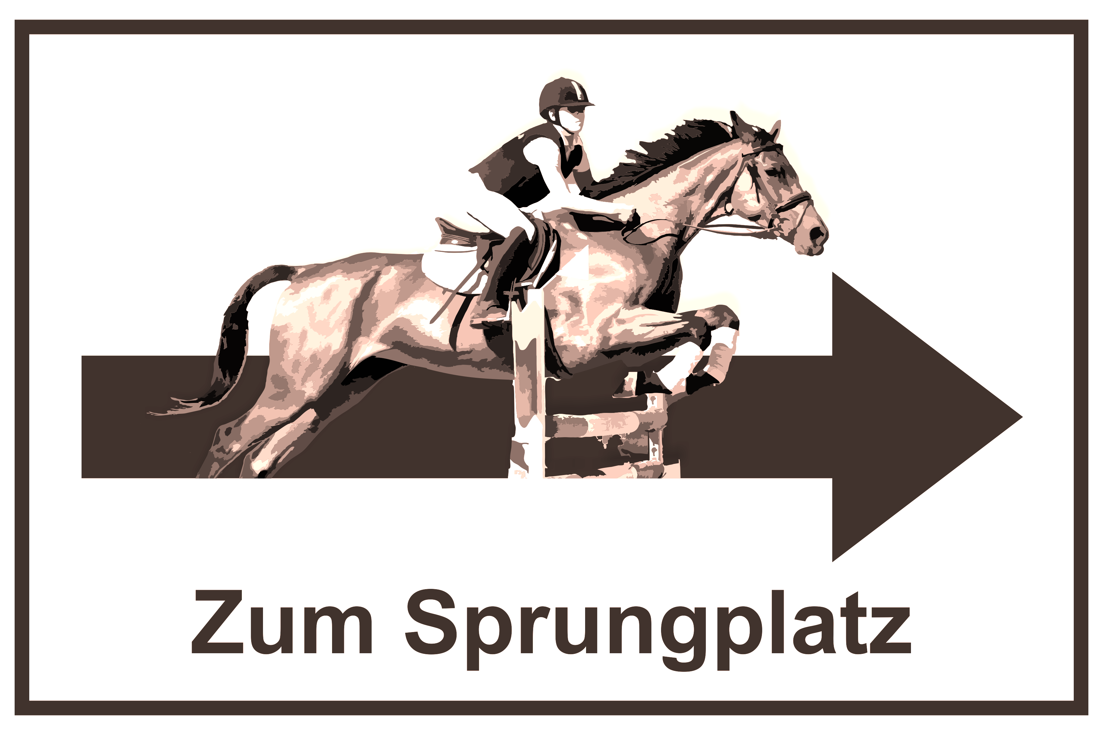 Wegweiser Sprungplatz | verschiedene Farben und Richtungen 