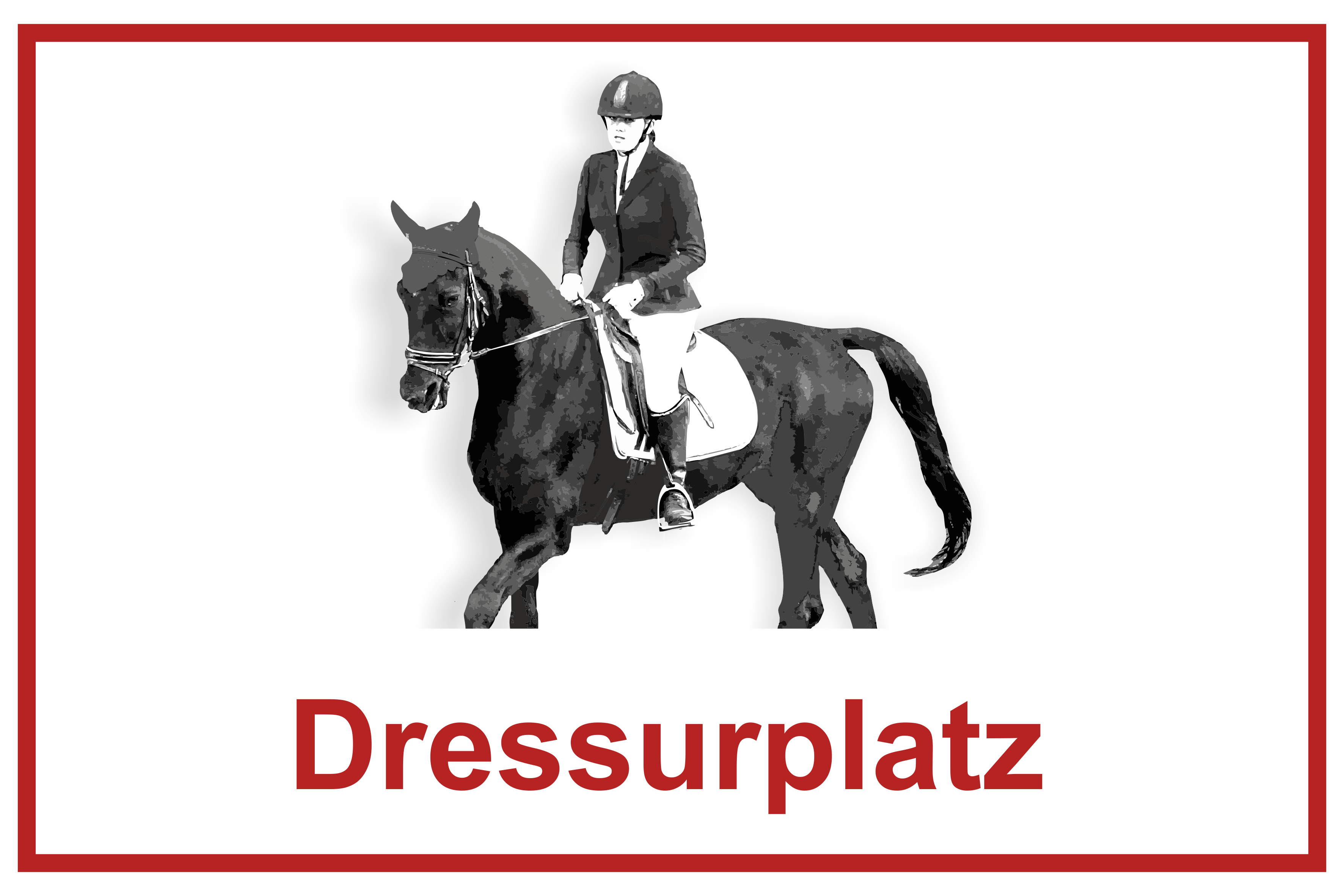Wegweiser Dressurplatz | Verschiedene Farben und Richtungen 