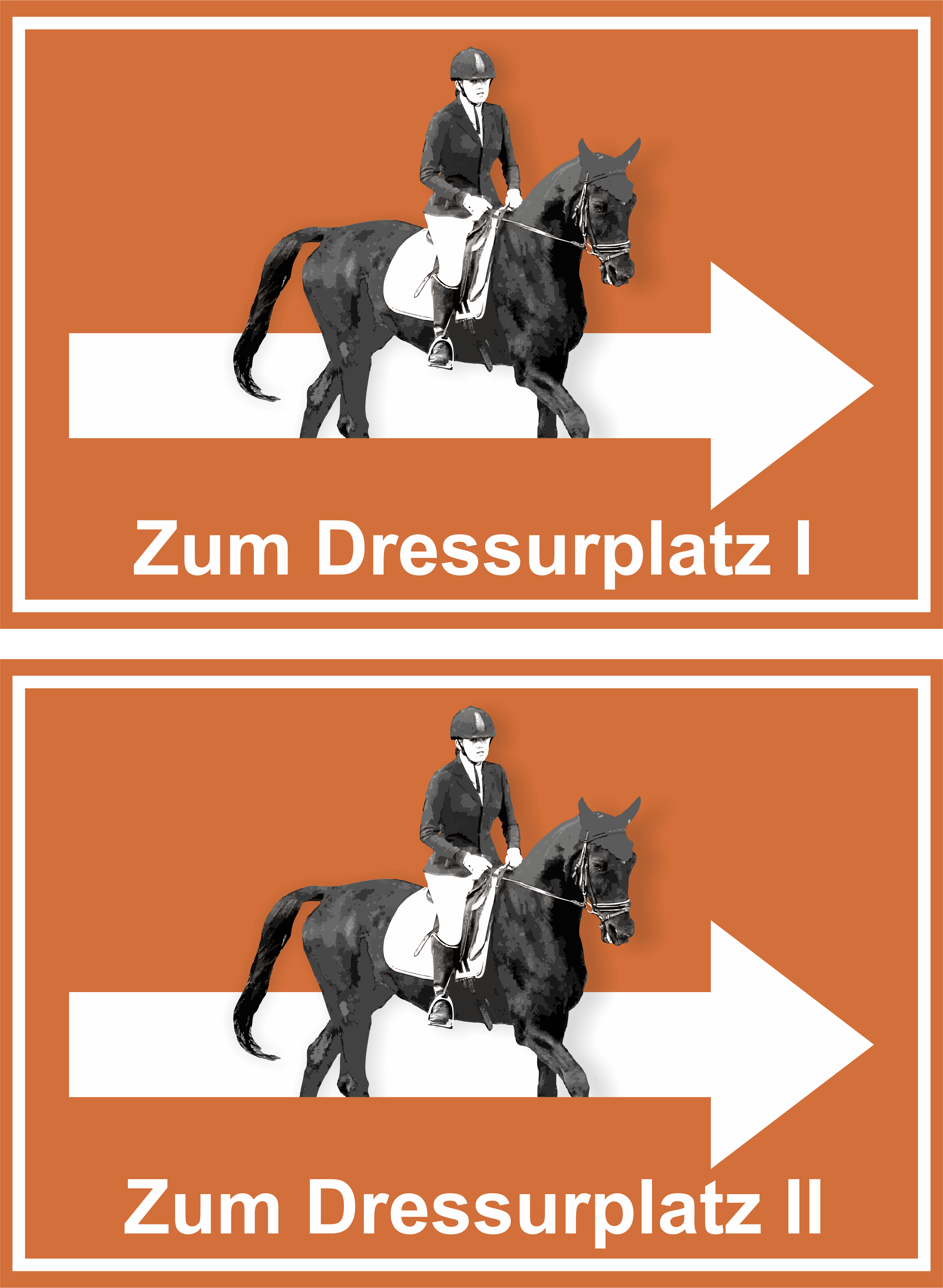 Wegweiser Dressurplatz I und II | 2-er Set | Verschiedene Farben und Richtungen  