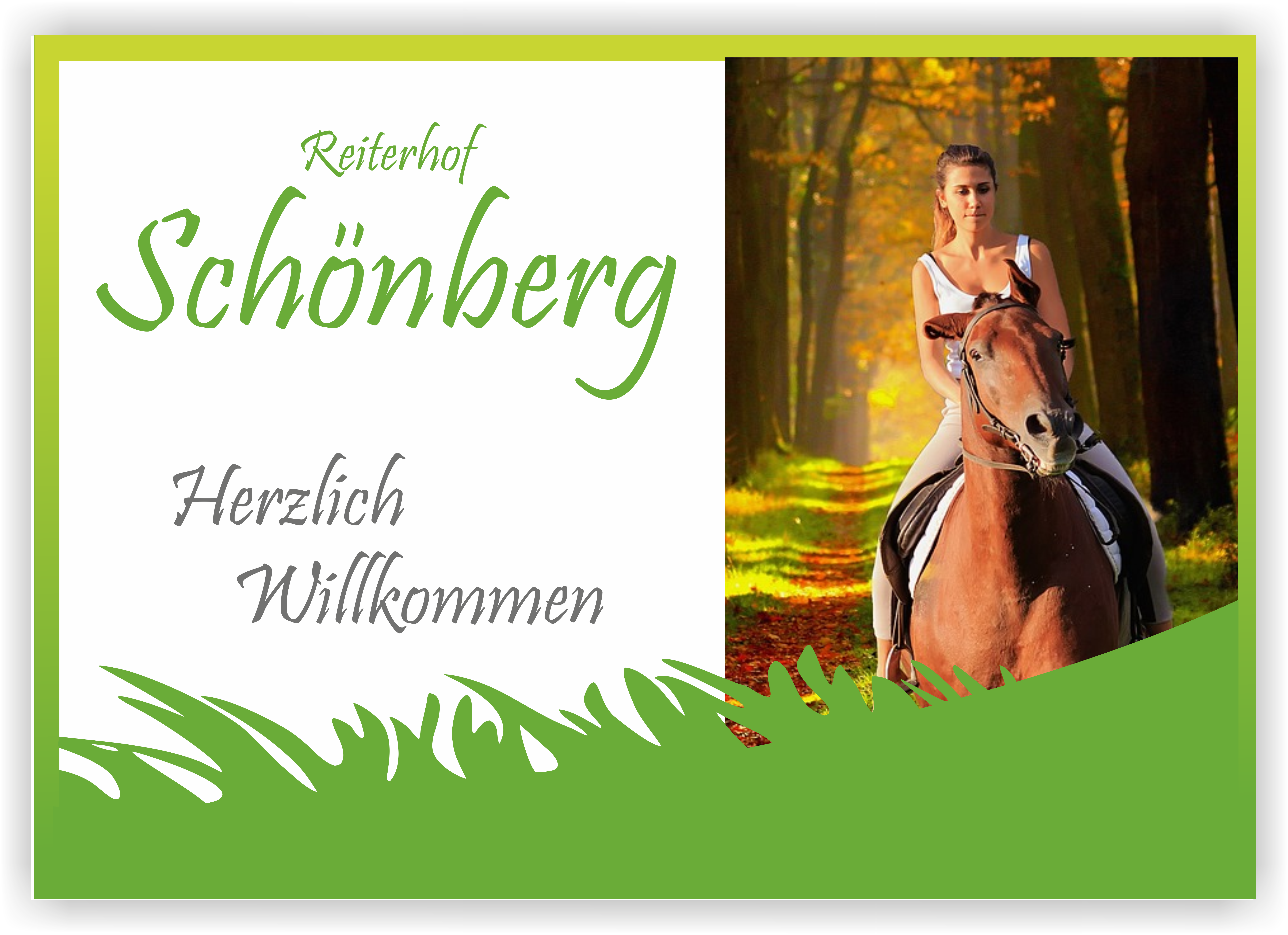 Schild inlk. Gestaltung für Ihren Reiterhof | Alu-Verbund