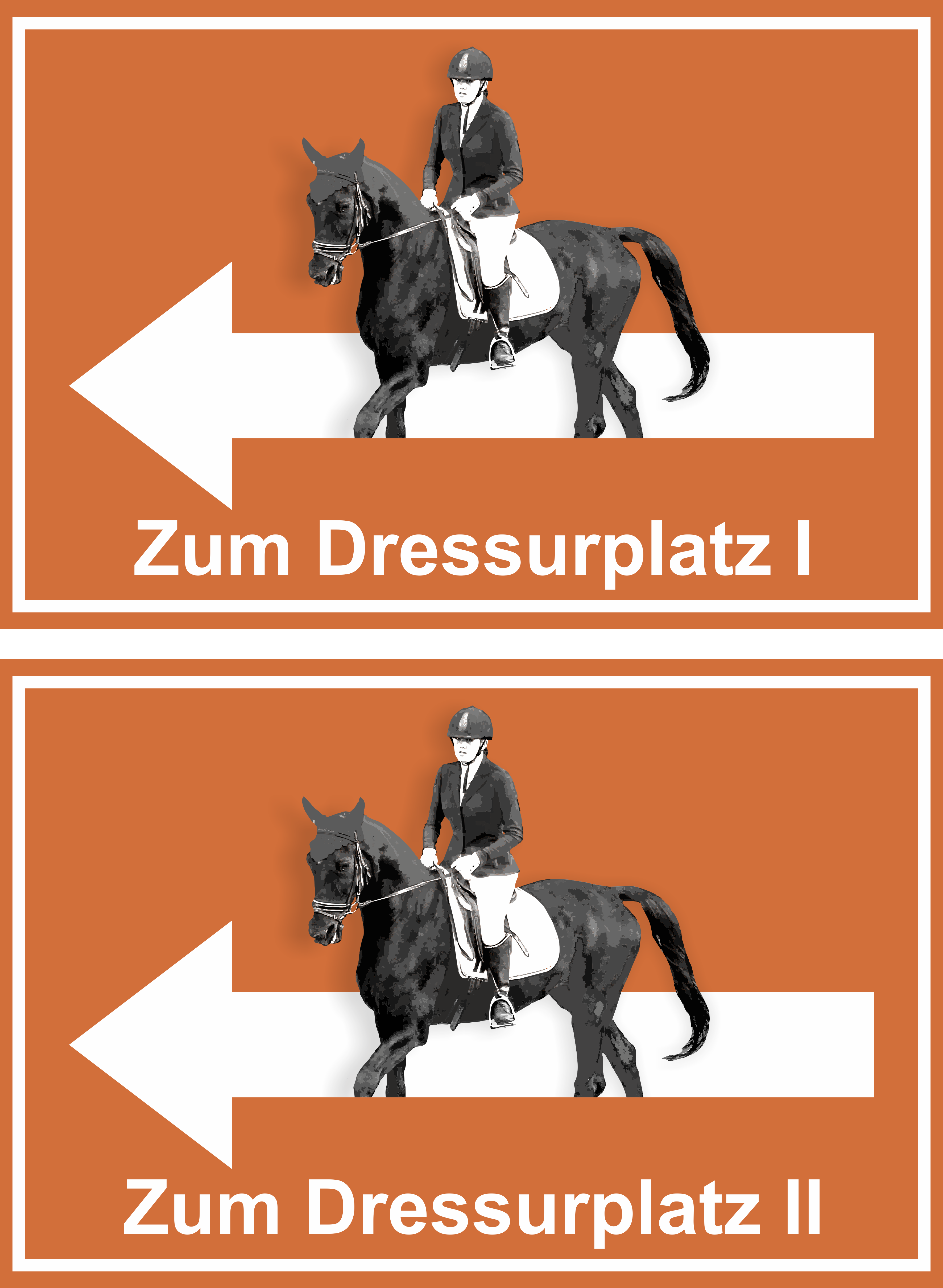 Wegweiser Dressurplatz I und II | 2-er Set | Verschiedene Farben und Richtungen  